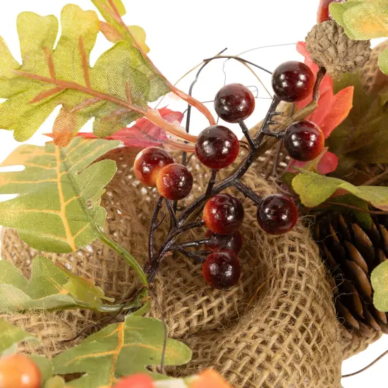 Northlight Berries and Pinecones Artificial Fall Harvest Twig Wreath, 18-Inch, Unlit Orange {6}