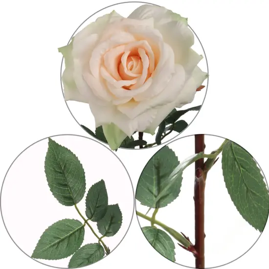 12-Pack: Champagne Queen Anne Rose Stems with Lifelike Silk Foliage - Perfect for Bouquets, Floral Arrangements & Home Decor - Floral Home by Artificial Flowers {2}