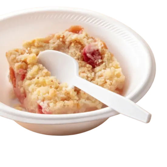 Kitcheniva Disposable White Plastic Spoons For Party {5}