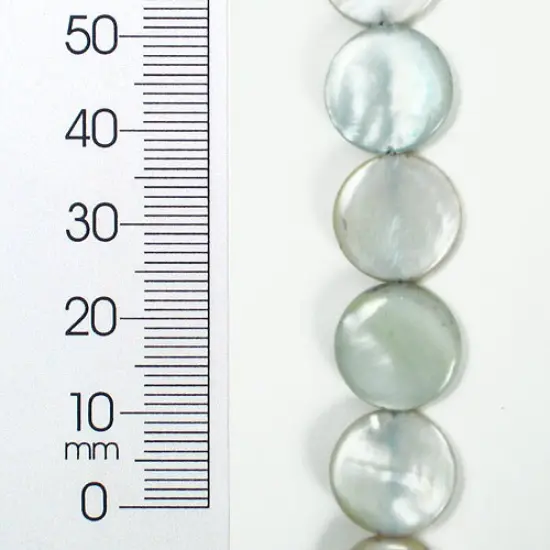 6 Packs of Tinted Shell 12mm Round Gray 2x8" Strand {1}