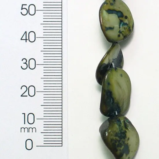 6 Packs of Chunky Tinted Shell Beads - Teal - 2 x 8" Strand {1}