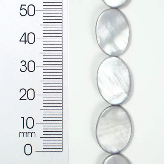 6 Packs of Tinted Shell 10x17mm Oval Gray 2x8" {1}