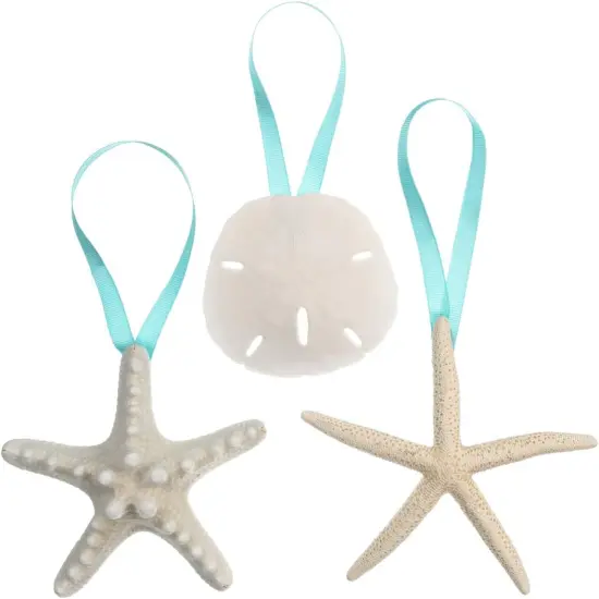 Shell Ornaments Christmas Ornaments for Tree 3 Pack Hanging Knobby Starfish, Finger Starfish and Sand Dollar w/Turquoise Ribbon {1}