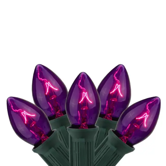 Northlight 25-Count Purple C7 Transparent Christmas Light Set, 24ft Green Wire {1}