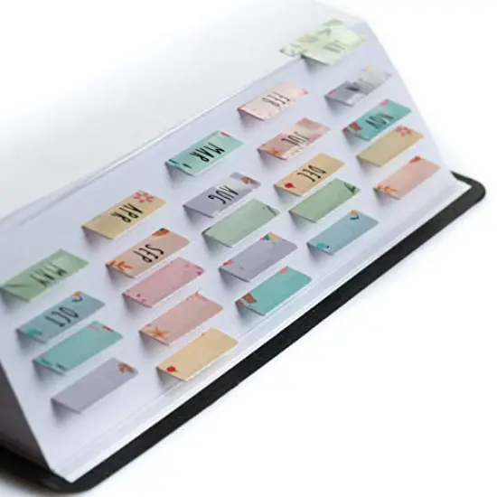 Laminated Planner Monthly Tabs, 24 Peel and Stick Tabs for Notebooks (12 Month Tabs and 12 Blank Tabs), Calendar Monthly Tab Stickers/Dividers (Assorted), Medium {6}