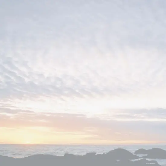 Great Papers! Horizon Stationery Letterhead, Invitations and Announcements, Printer Friendly, 8.5"x11", 80 Pack {1}