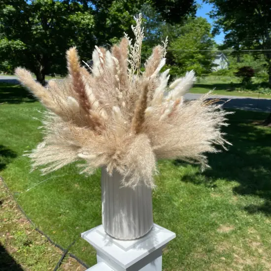 Natural Dried Pampas Grass Boho Home Decor Dried Flowers Bouquet Floral Home Decorations Reed Grass {6}