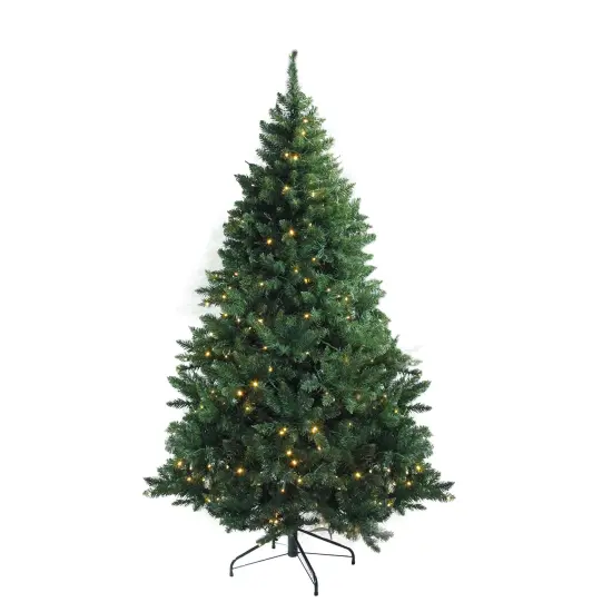 Northlight 6.5' Pre-Lit Full Buffalo Fir Artificial Christmas Tree - Warm White LED Lights Green {1}
