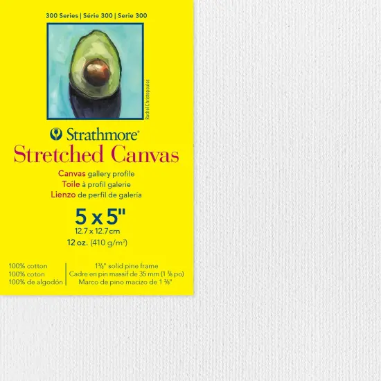 Strathmore 300 Series Gallery Stretch Canvas-5"X5" {1}