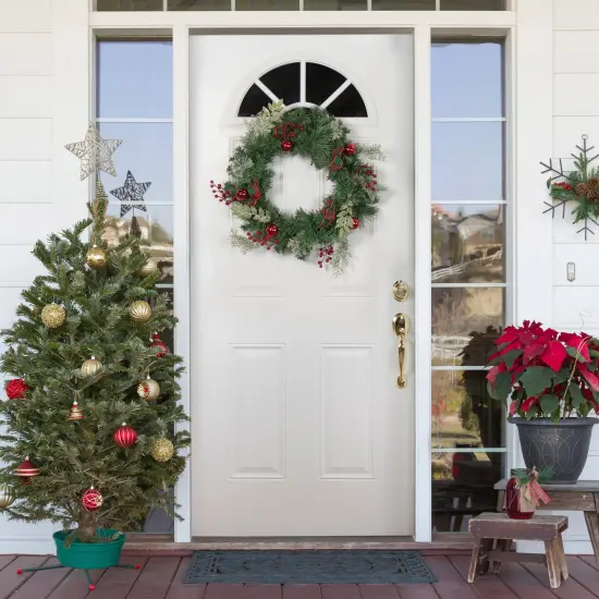 Northlight Decorated Frosted Pine and Pine Cone Artificial Christmas Wreath, 24-Inch, Unlit Green {3}