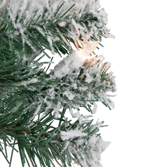 Northlight Pre-Lit Flocked Snow White Artificial Christmas Wreath, 24-Inch, Clear Lights {5}