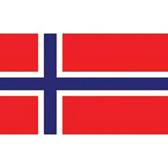 Norway Flag with Grommets 2ft x 3ft {1}