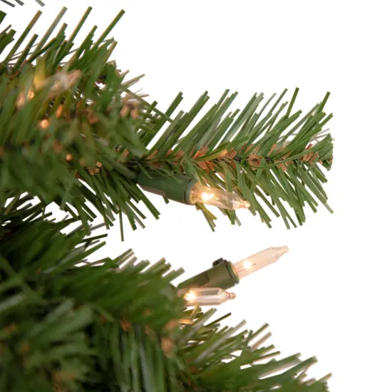 Northlight Pre-Lit Deluxe Dorchester Pine Artificial Christmas Wreath - 18" - Clear Lights Green {3}