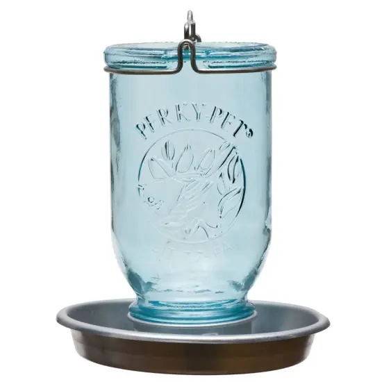 Mason Jar Glass Wild Bird Waterer {1}