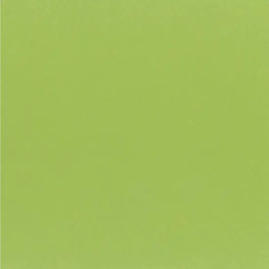My Colors Classic 80lb Cover Weight Cardstock 12"X12"-Key Lime {1}