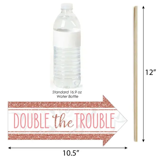 Big Dot of Happiness Funny It's Twin Girls - Pink and Rose Gold Twins Baby Shower Photo Booth Props Kit - 10 Piece {4}
