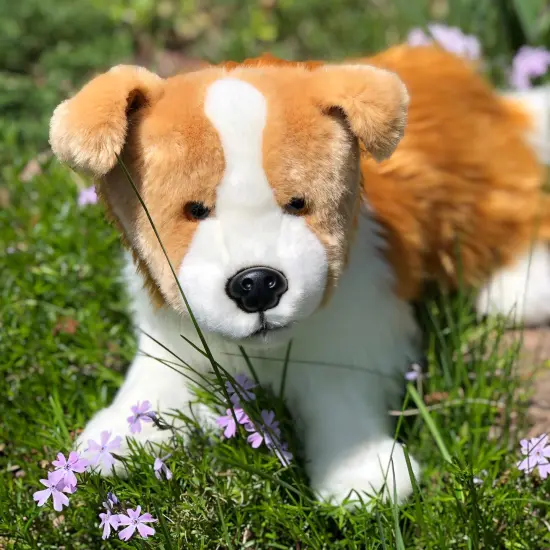 Golden Border Collie: A Lifelike Companion for Any Dog Lover {1}