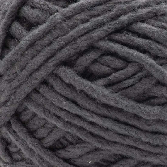 (Pack of 2) Bernat Forever Fleece Yarn-Coal {2}