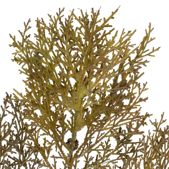 Melrose 30.5" Green Cedar Branches and Cones Artificial Spray {3}