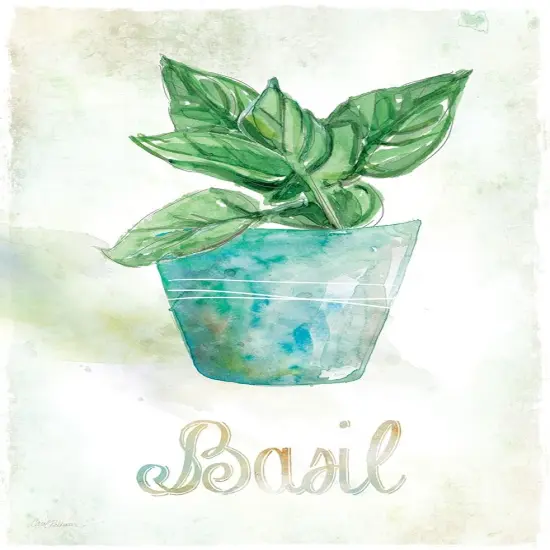 Potted Basil Poster Print by Carol Robinson - Item # VARPDX40226 {1}