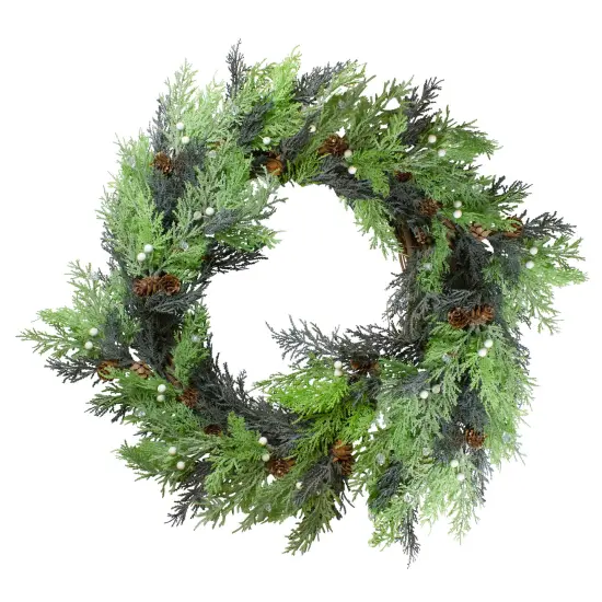 Northlight Berry, Cedar and Pine Cone Artificial Christmas Wreath - 24-Inch, Unlit Green {1}