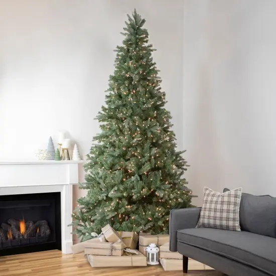 Northlight Real Touch&trade; Pre-Lit Medium Granville Fraser Fir Artificial Christmas Tree - 9' - Clear Lights Green {1}