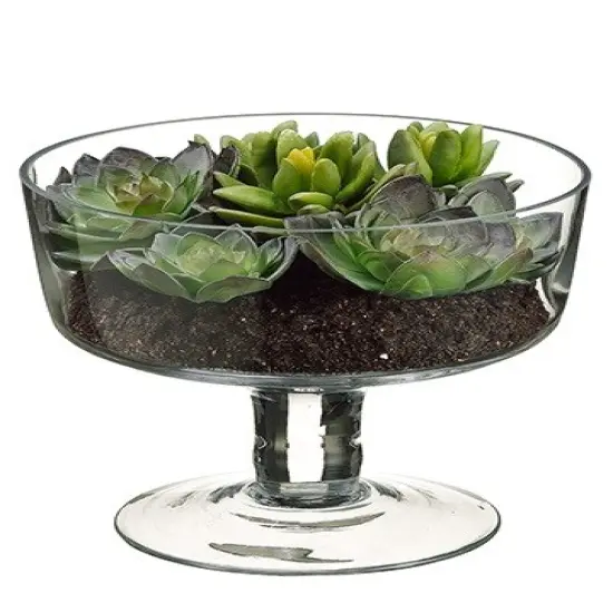 Allstate Succulent Garden Artificial Spring Decoration with Clear Glass Vase - 6.75" Green {1}