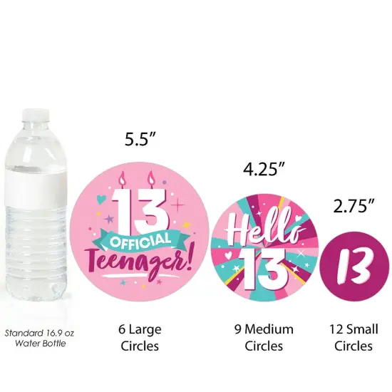 Big Dot of Happiness Girl 13th Birthday - Official Teenager Birthday Party Giant Circle Confetti - Party Decorations - Large Confetti 27 Count {4}