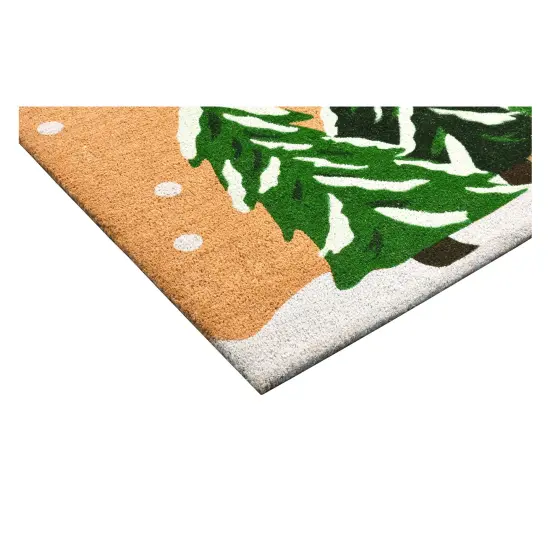 Winter Wonderland Doormat {4}