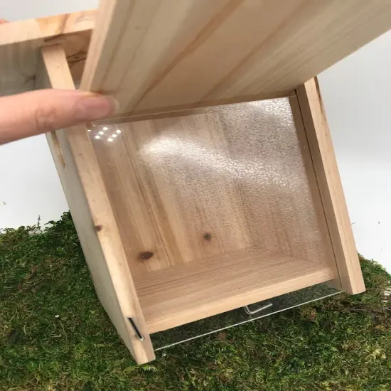 Kids DIY Birdhouse Kit - Inside Viewing Window {6}