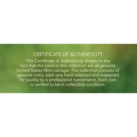 Buffalo Nickel Coin Set {6}