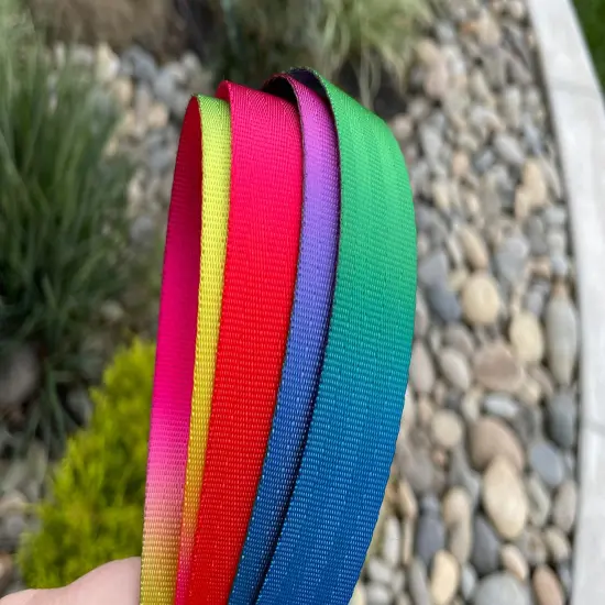Rainbow Ombr&eacute; 1&rdquo; Seatbelt Webbing {1}