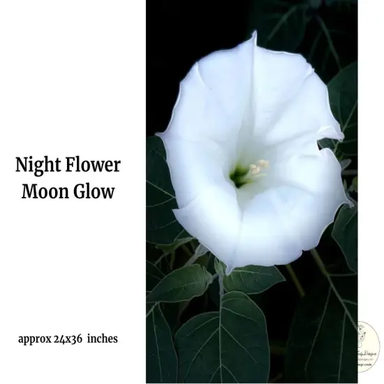 Night Flower Moon Glow - Art paper for Decoupage and Mixed Media by Painting Lady Designs {2}