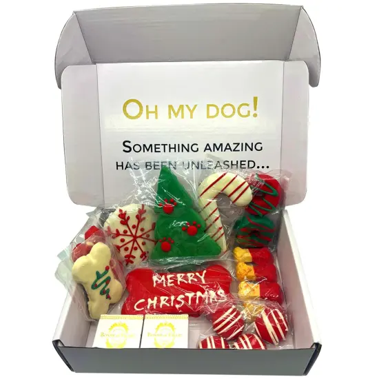 Christmas Themed Dog Treats Gift Box {2}