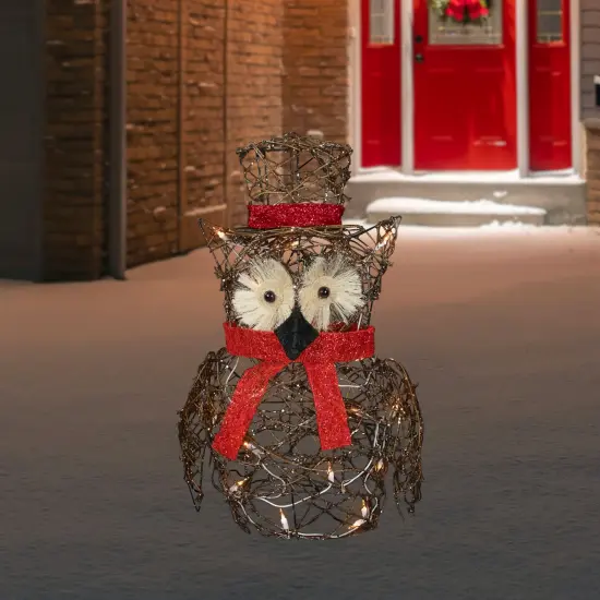Northlight Lighted Glitter Rattan Owl Outdoor Christmas Decoration - 21" - Clear Lights Brown {3}