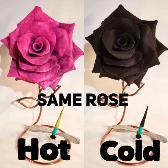 Universal Magic Paints Thermochromic Heat Sensitive for Secret Messages Color Changing T-Shirts & Shoes Black to pink {2}