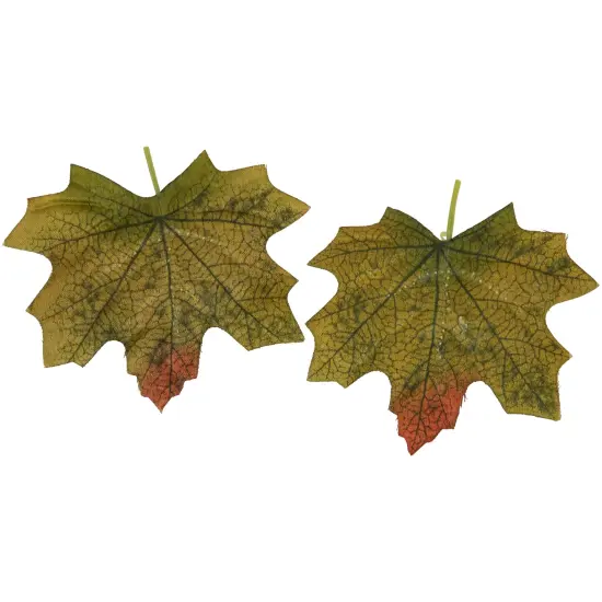 Northlight Fall Harvest Artificial Pumpkin, Gourd, Acorn and Leaf Decoration Set - 11-Piece Orange {7}