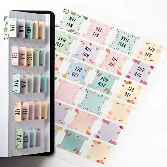 Laminated Planner Monthly Tabs, 24 Peel and Stick Tabs for Notebooks (12 Month Tabs and 12 Blank Tabs), Calendar Monthly Tab Stickers/Dividers (Assorted), Medium {2}