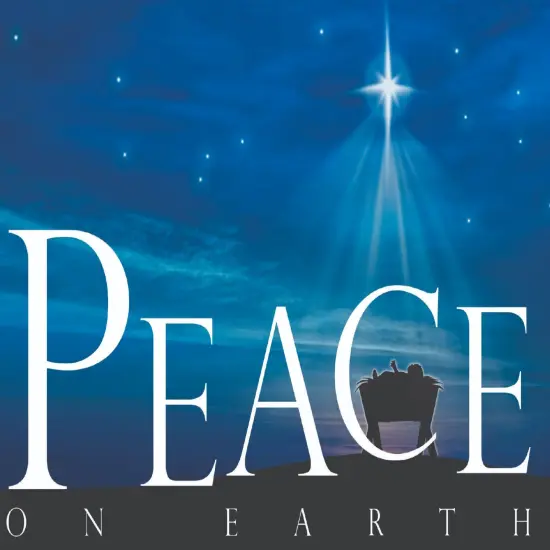 Boxed Christmas Cards -Peace on Earth Nativity, KJV 12 Cards and Envelopes {3}