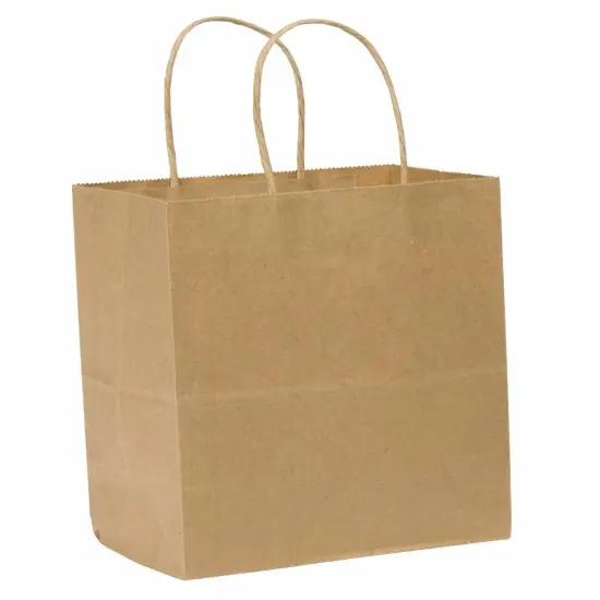 Kraft Paper Bag Party Shopping Gift Bags Retail Merchandise with Handles {1}