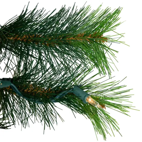 Northlight Pre-Lit Royal Oregon Pine Artificial Christmas Wreath - 24" - Clear Lights Green {6}