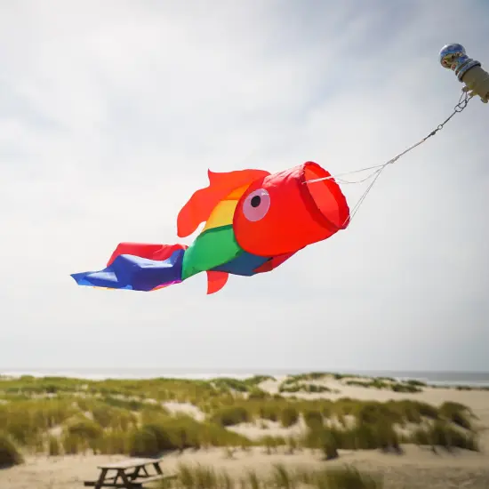In the Breeze 5208 &mdash; 30-inch Rainbow Damsel Fish Windsock &mdash;Large and Colorful Fishsock with Applique Design {2}