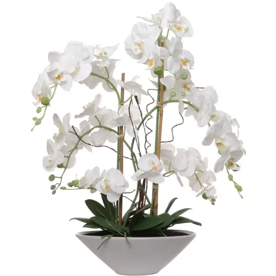 Phalaenopsis Orchid Arrangement: 23-Inch, Floral D&eacute;cor, Floral Home by Artificial Flowers {1}