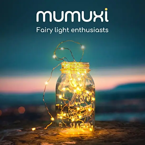 20 Pack LED Fairy Lights Battery Operated String Lights 3.3ft 20 Mini Fairy Lights Battery Powered Party Wedding Centerpiece Decorations Crafts Mason Jar Lights Firefly Lights, Warm White {3}