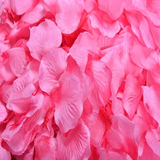 Kitcheniva Multicolor Silk Rose Petals DIY Craft & Party Decor 1000 Pcs Hot pink & pink {1}