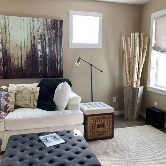 Wilson White Birch Pole Packs 1.5"-2.5" Dia. (Set of 3) {5}