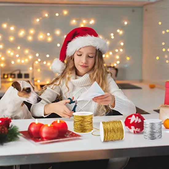 2 Rolls Metallic Elastic Cords Stretch Cord Ribbon Metallic Tinsel Cord Rope for Craft Making Gift Wrapping, 1 mm 55 Yards (Gold and Silver) {6}