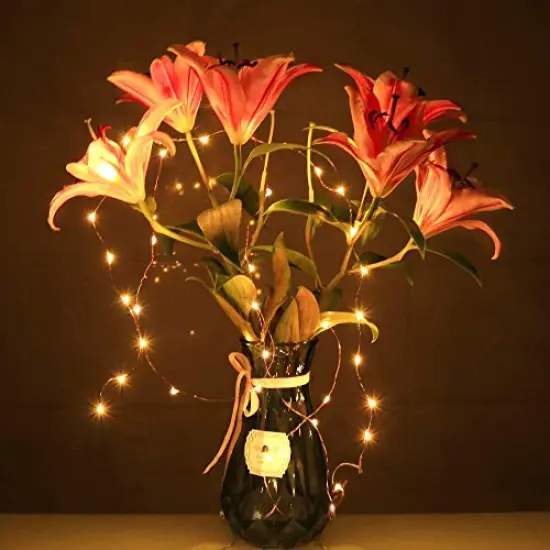 TingMiao Fairy Lights, 6 Pack Fairy Lights Battery Operated 7.2 ft 20 LED Mini String Lights Waterproof Copper Wire Firefly Starry Lights for Wedding Bedroom Party Christmas Decor(Warm White) {3}