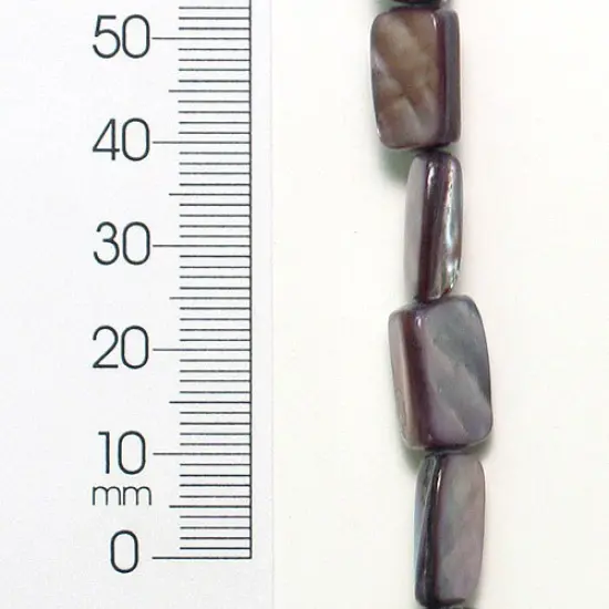 6 Packs of Tinted Shell Tube 8 in Strand Pack of 2 {1}