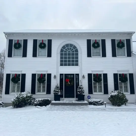 Northlight Lush Mixed Pine Artificial Christmas Wreath - 24" - Unlit Green {6}